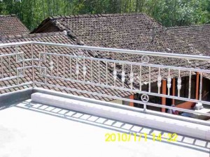 IMG_0796x