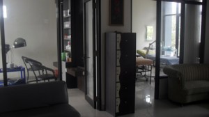 Ananda003