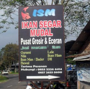 ikansegarmudal005