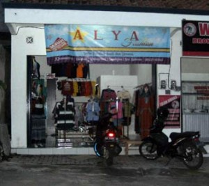 alya02 alya02