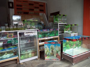 Karya-Mandiri.03