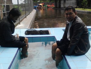 Terapi-Ikan-WAT002