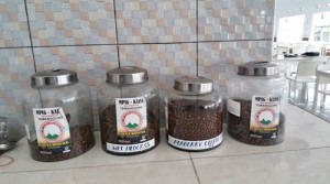 kopi003