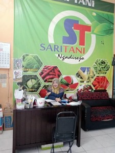saritani-11