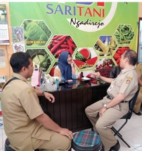 saritani-22