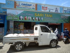 saritani-8
