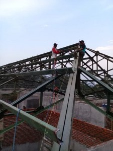 adyxx18